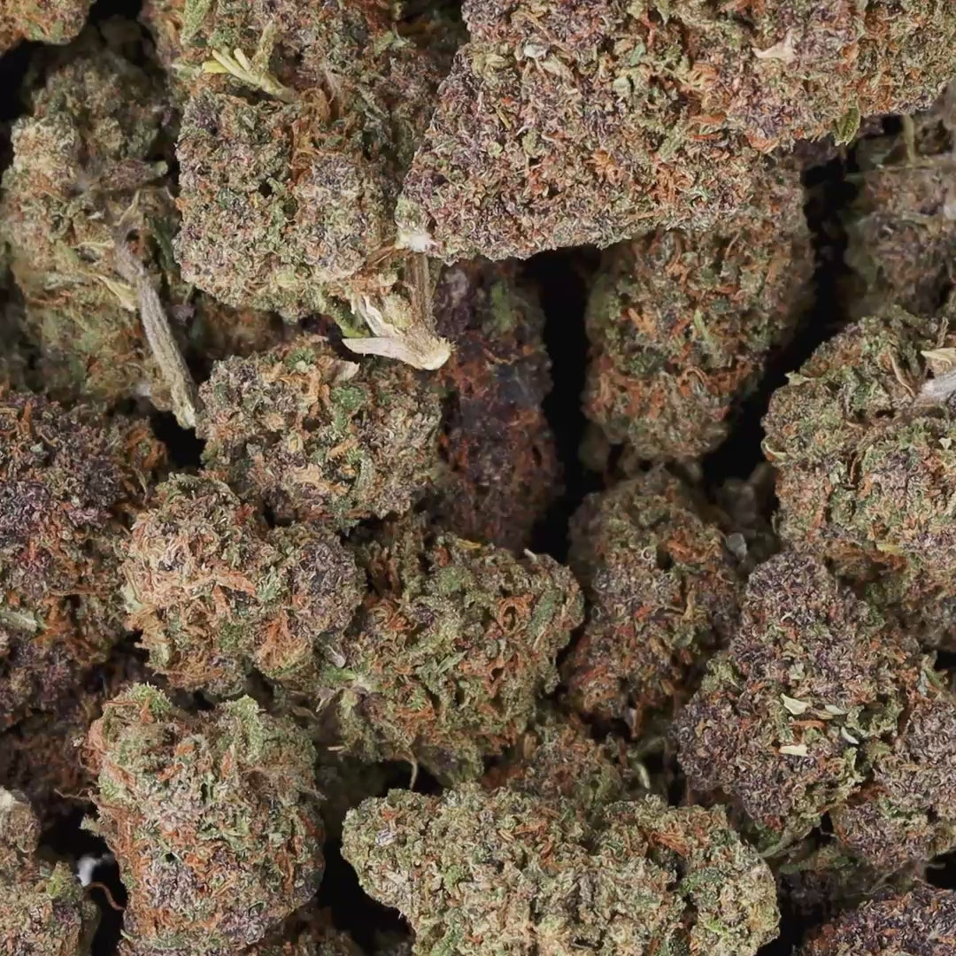 Lemon OG Indoor CBD Hemplyfe