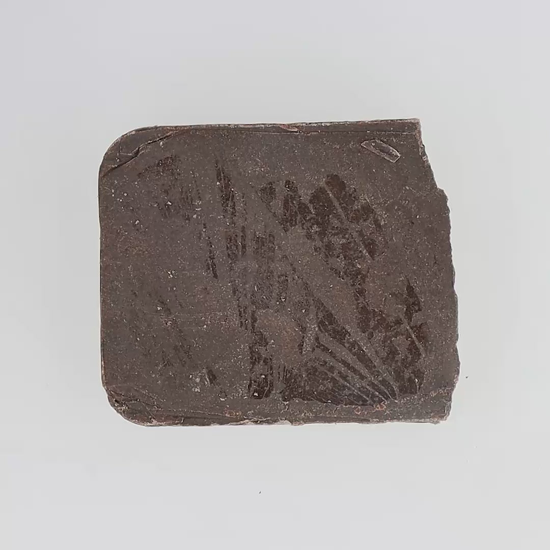 Résine CBD concentrée 50% Purple Filtré 90 microns, texture fine et homogène, arômes riches et fruités