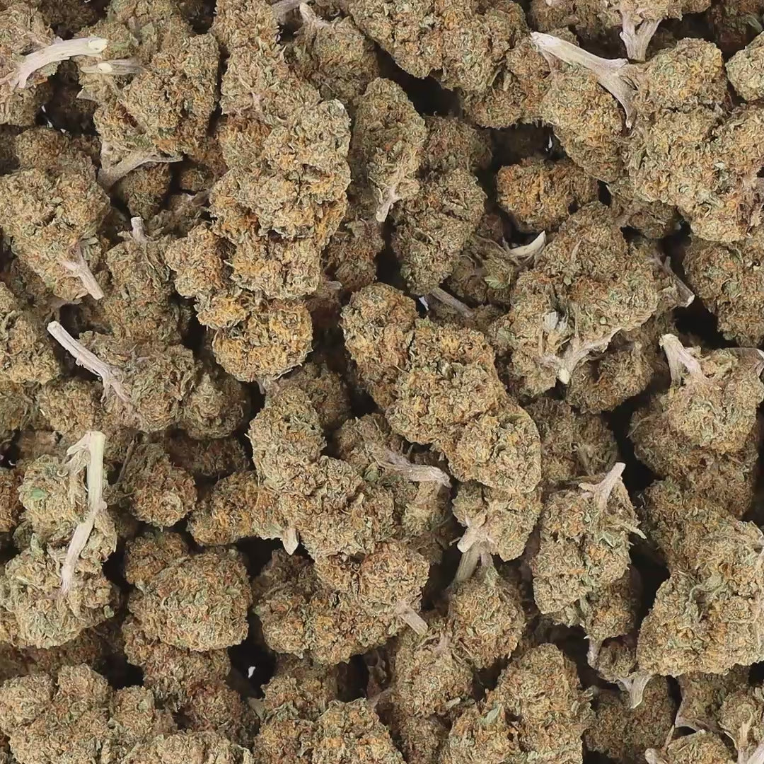 Tangerine hydro CBD Hemplyfe