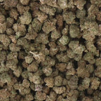 Critical Kush CBD Small Bud Indoor 15% – fleurs CBD premium USA compactes et aromatiques disponibles sur HempLyfe